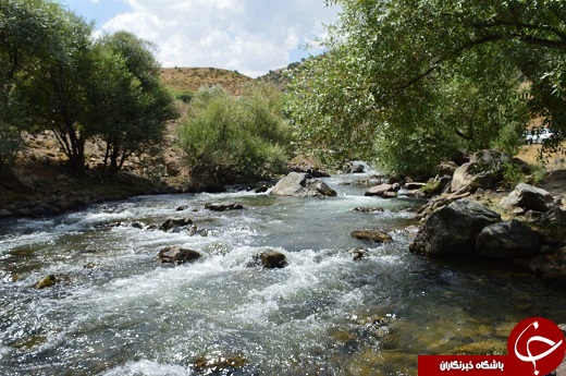 مارمیشو نامی آشنا در طبیعت ارومیه + تصاویر