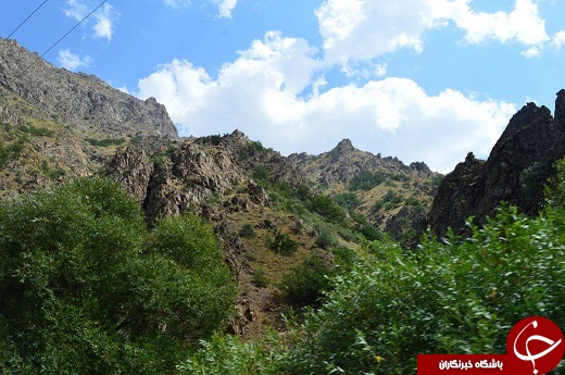 مارمیشو نامی آشنا در طبیعت ارومیه + تصاویر