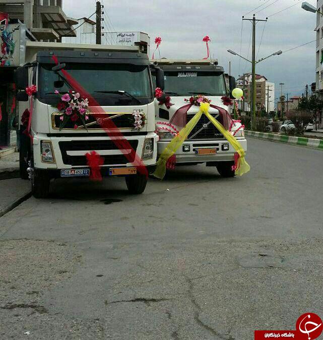 اعطای نشان سرتیپی به یک پنگوئن/بزرگترین قبرستان جهان در عراق/ساخت پای مصنوعی برای یک فیل/ این مانتو در ویترین یک بوتیک/