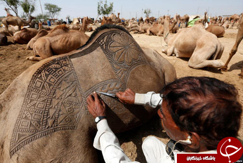 از آماده شدن مسلمانان برای انجام مناسک حج تا انتشار عکسی زیرخاکی از دوستی بیل کلینتون و دونالد ترامپ