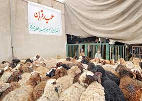 آمادگی بهزيستی استان تهران برای دريافت نذورات در عید قربان