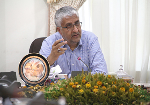 پیشرفت چشمگیر طرح همیاران آب در کرمان
