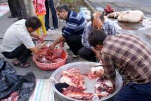 آمادگی کمیته امداد امام خمینی (ره) برای جمع آوری نذورات عید قربان