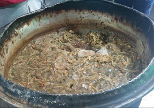 جمع‌آوری 255 کیلوگرم مواد غذایی فاسد