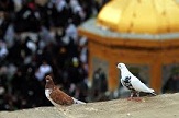 اعزام 400 دانش آموز نیازمند به مشهد مقدس