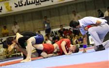 اردوی تیم ملی گراپلینگ مردان آغاز می شود