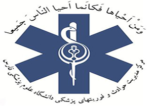 تولد در آمبولانس