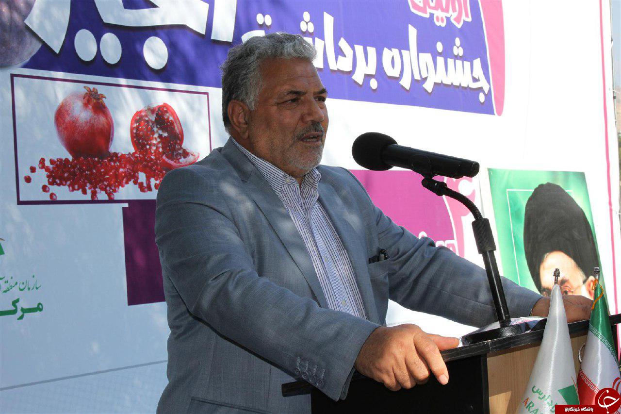برگزاری جشنواره انار و انجیر در مرکز نوردوز منطقه آزاد ارس