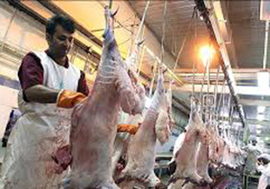 آمادگی کشتارگاه های فارس برای قربانی عید اضحی