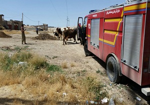 حریق در گاوداری روانسر