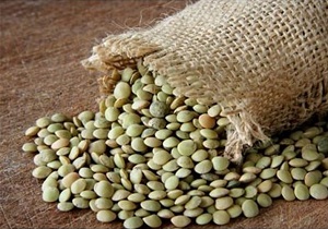 کشت حبوبات در بیش از 5 هزار هکتار از اراضی کشاورزی استان اردبیل