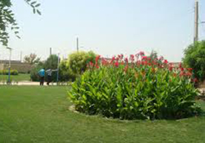 سرانه فضای سبز در جهرم کمتر از 10 سانتی‌ متر است