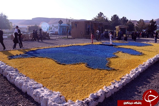 آغاز چهارمین جشنواره انگور در ارومیه + تصاویر