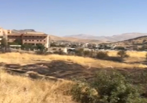 آتش زدن مزارع و درختان در سنندج + فیلم
