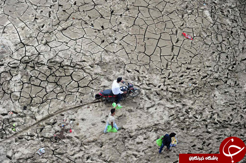 از زد و خورد در کمپین انتخاباتی ترامپ تا آتش&zwnj;سوزی وحشتناک اتوبوس&zwnj;های شهری