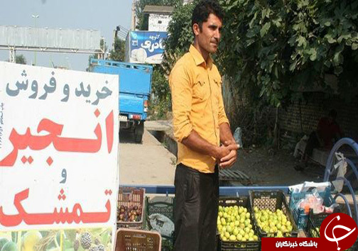 رونق کشاورزی، گردشگری و درآمدزایی روستاییان در گلوگاه با توسعه باغ های انجیر