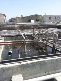 پایش کشتارگاه صنعتی مرغ خوش پخت نقده