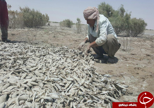 تالاب &laquo;هامون&raquo; کاملا خشک شد+ تصاویر