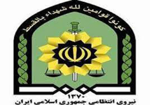 دستگيری 36 متهم و توقيف 23 دستگاه وسيله نقليه متخلف در داراب