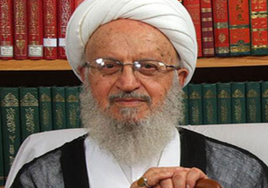 آیت‌الله مکارم شیرازی: بین شیعه و سنی بر سر وهابیت اجماع حاصل شده است + فیلم