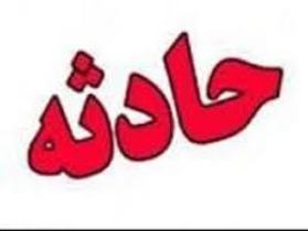 یک نفر فوتی بر اثر واژگونی پژو