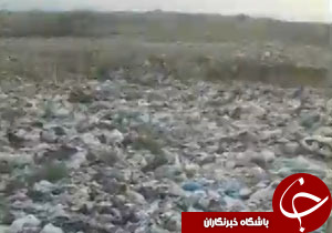 شهروند خبرنگار: چهره زشت زباله‌ها در طبیعت دژکرد + فیلم