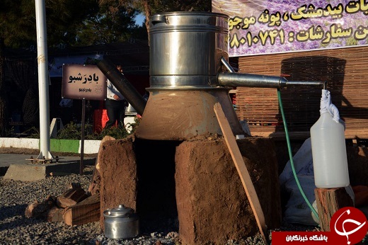دومین روز چهارمین جشنواره انگور در ارومیه + تصاویر