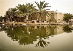 بازدید هیئت اعزامی کشور صربستان از تالاب بین المللی شادگان