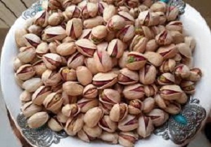 کشت ارقام نامرغوب پسته ممنوع شد