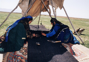 اسکان عشایر یکجانشین فارس