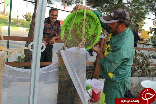 سومین روز چهارمین جشنواره انگور در ارومیه + تصاویر