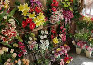 ارسال سه هزار شاخه گل به حرمین عسکریین (ع)