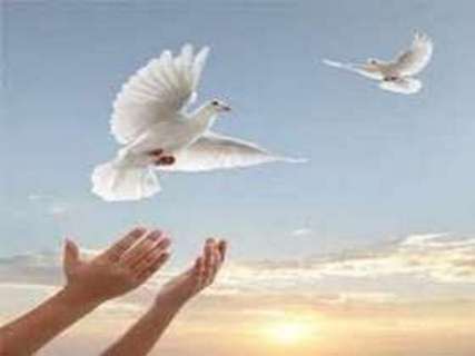 مهمترین حوادث هفته گذشته
