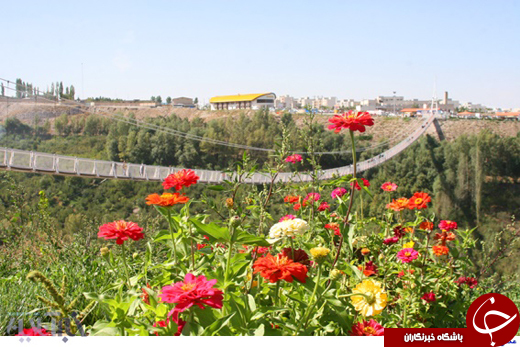عکس/ مرتفع ترین پل معلق خاورمیانه در اردبیل
