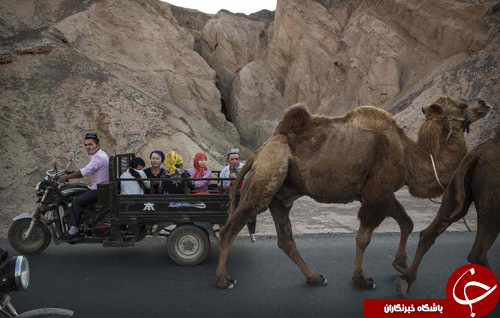از طرح اولیه برج ایفل نیویورک تا حراج چکمه&zwnj;های رونالد ریگان
