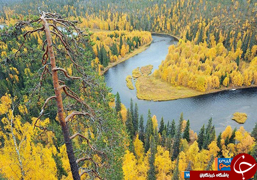 عکس/ پارک 4 فصل/ ترکیبی منحصر به فرد از طبیعت شمال ،جنوب و شرق فنلاند