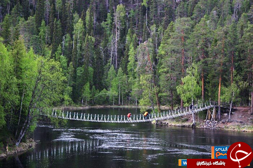 عکس/ پارک 4 فصل/ ترکیبی منحصر به فرد از طبیعت شمال ،جنوب و شرق فنلاند