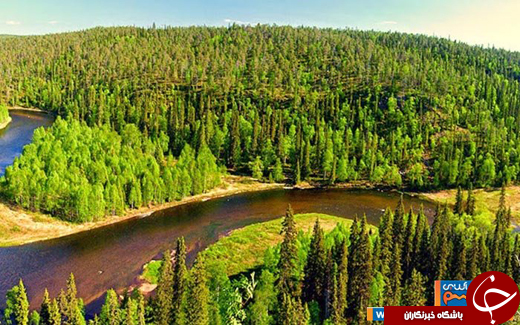 عکس/ پارک 4 فصل/ ترکیبی منحصر به فرد از طبیعت شمال ،جنوب و شرق فنلاند