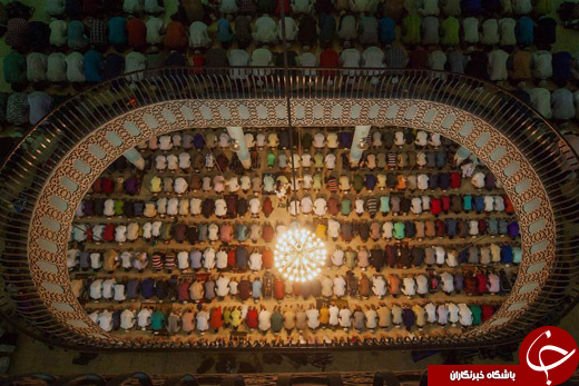 از آموزش عقاب برای شکار پهپاد تا ولادیمیر پوتین در لباس غیررسمی