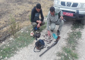 دستگیری شکارچیان گنجشک