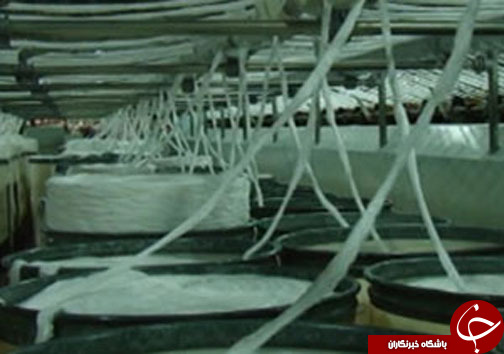 ازابداع سم ارگانیک تا شیراز قطب پیوند کبد+ فیلم