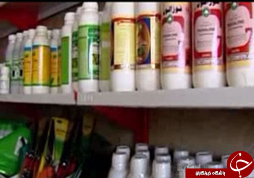 ابداع سم ارگانیک بجای سموم شیمیایی + فیلم
