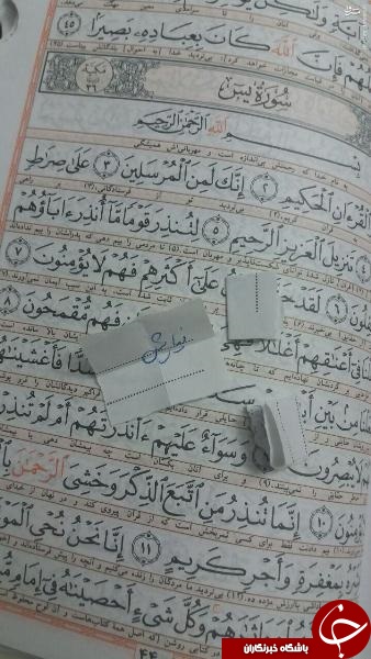 فلسفه نامگذاری فرزند شهید مدافع حرم از زبان همسر شهید+ تصویر