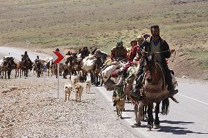 خوزستان میزبان 10 هزار خانوار عشایری