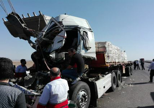 شناسایی درنده ناشناخته تا سرقت از باغ وحش در یک کلیک