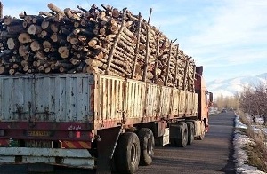توقیف یک محموله چوب قاچاق در رشت