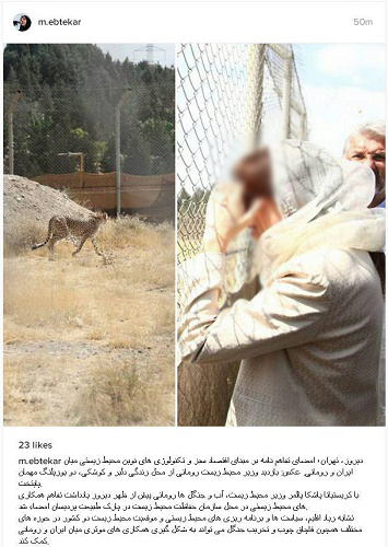 استفاده از تجربه رومانی در مبارزه با قاچاق چوب