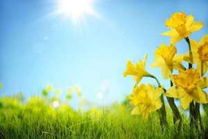 آسمانی صاف برای استان