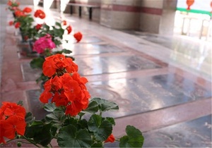 گلزار شهدای دامغان گلباران شد