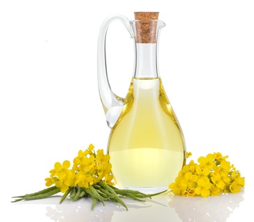 گلستان رتبه اول خرید دانه روغنی کلزا